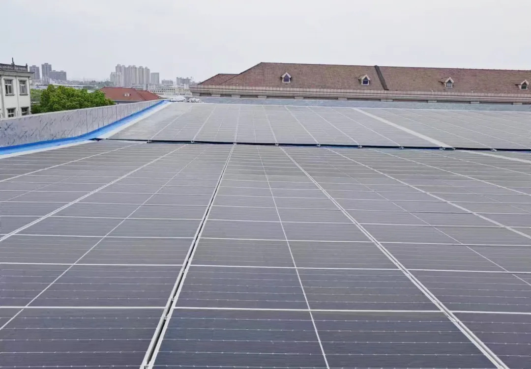 1750056010275053.jpg 3.jpg